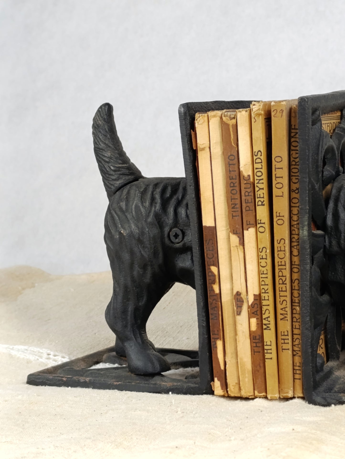 Sujeta-libros Schnauzer