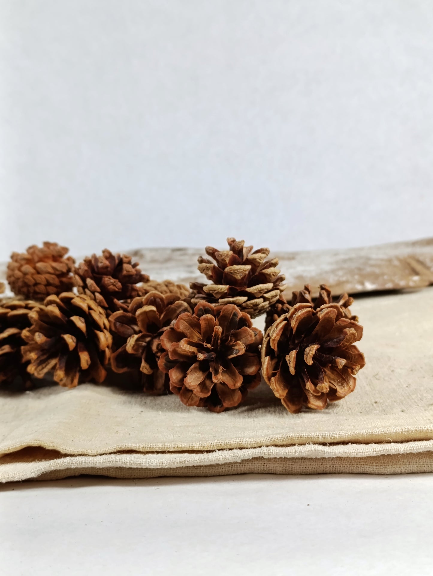 Guirnalda de Piñas | Decoración Natural